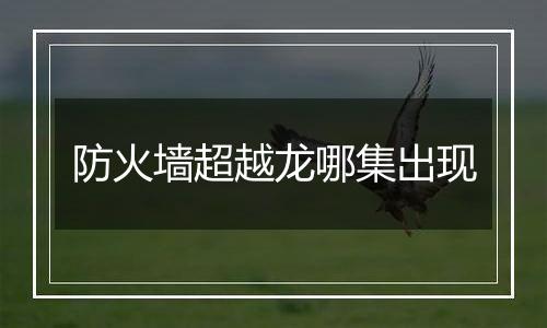 防火墙超越龙哪集出现