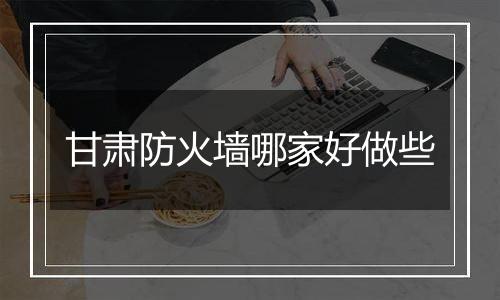 甘肃防火墙哪家好做些