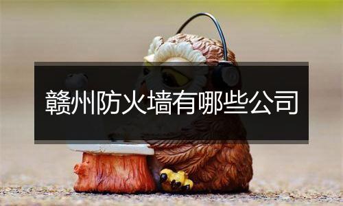 赣州防火墙有哪些公司