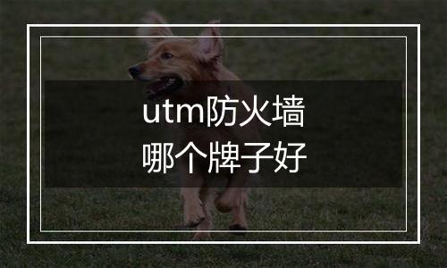 utm防火墙哪个牌子好