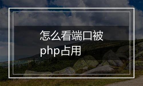 怎么看端口被php占用