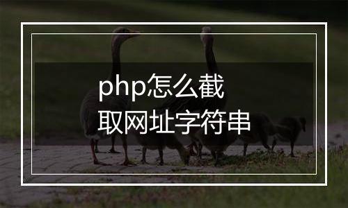php怎么截取网址字符串