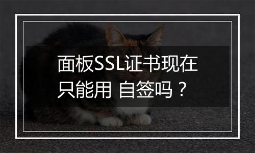 面板SSL证书现在只能用 自签吗？