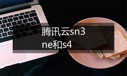 腾讯云sn3ne和s4