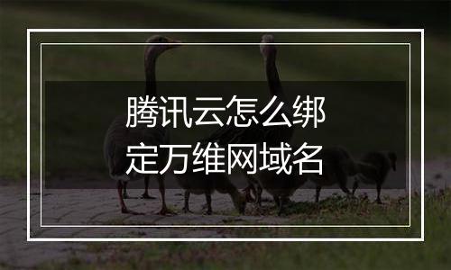 腾讯云怎么绑定万维网域名