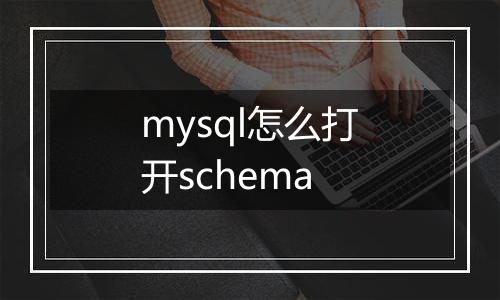 mysql怎么打开schema
