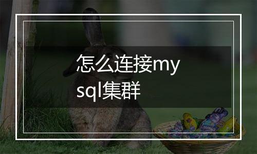 怎么连接mysql集群