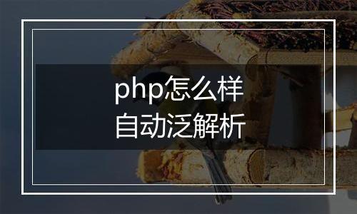 php怎么样自动泛解析