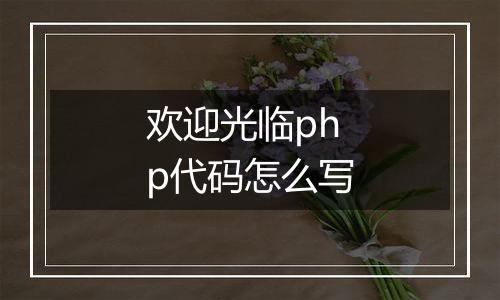 欢迎光临php代码怎么写