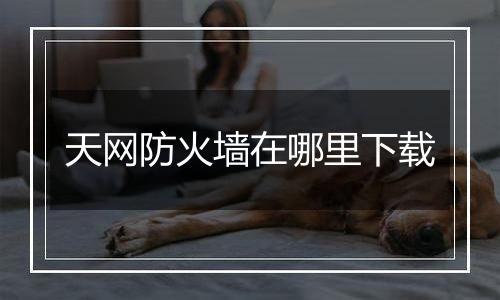 天网防火墙在哪里下载