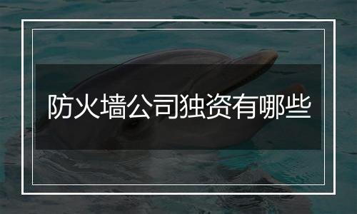 防火墙公司独资有哪些
