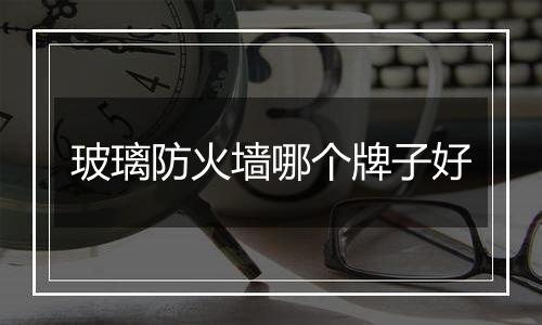 玻璃防火墙哪个牌子好
