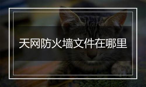 天网防火墙文件在哪里