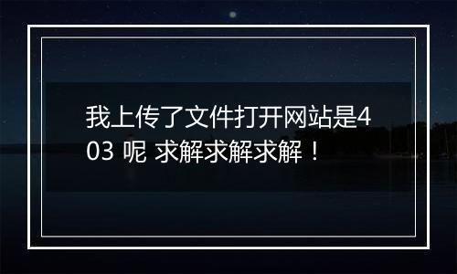我上传了文件打开网站是403 呢 求解求解求解!