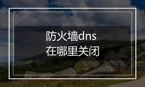 防火墙dns在哪里关闭