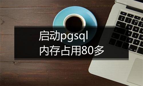 启动pgsql 内存占用80多
