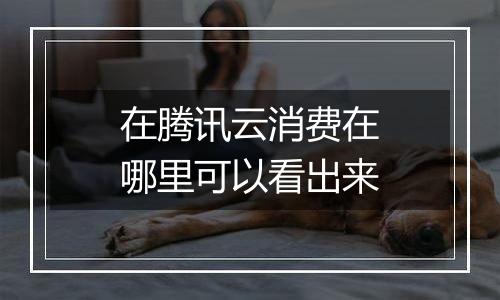 在腾讯云消费在哪里可以看出来