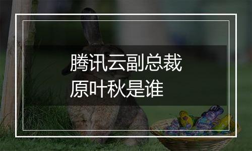 腾讯云副总裁原叶秋是谁
