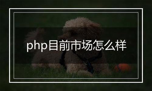 php目前市场怎么样