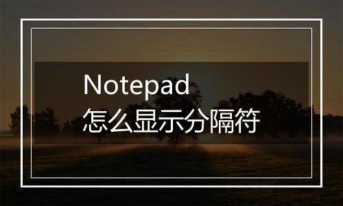 Notepad怎么显示分隔符
