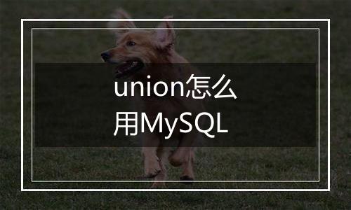 union怎么用MySQL