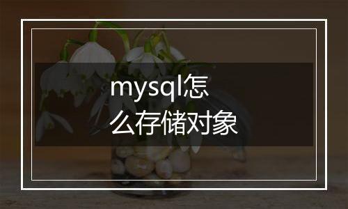 mysql怎么存储对象