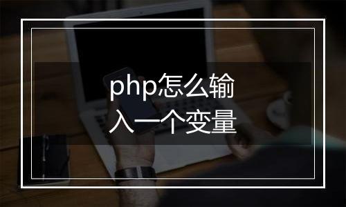 php怎么输入一个变量