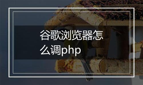 谷歌浏览器怎么调php