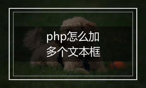 php怎么加多个文本框