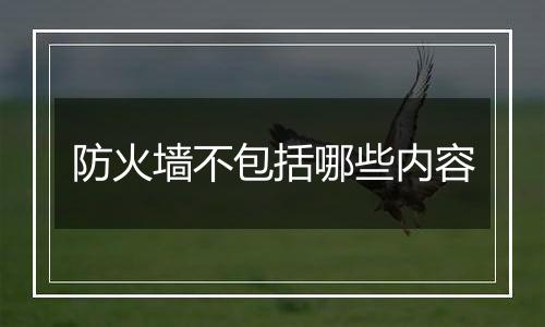 防火墙不包括哪些内容