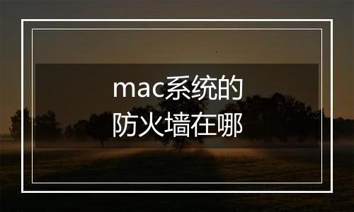 mac系统的防火墙在哪