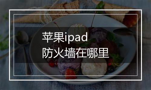 苹果ipad防火墙在哪里