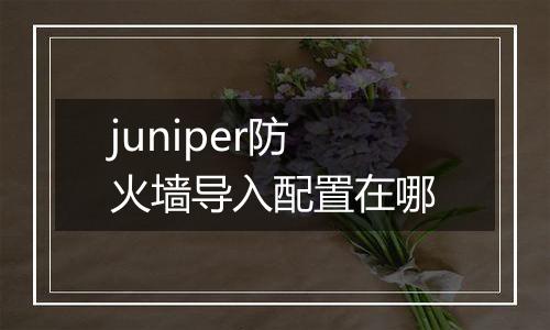 juniper防火墙导入配置在哪