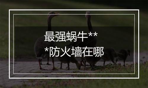 最强蜗牛***防火墙在哪