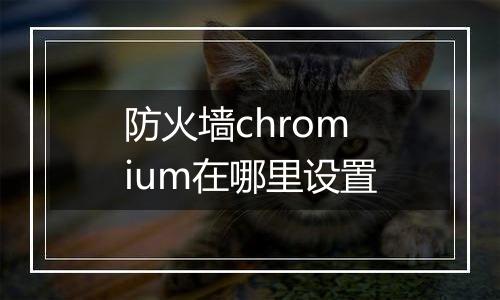 防火墙chromium在哪里设置