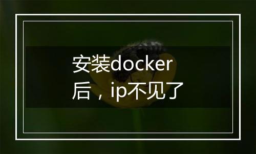安装docker后,ip不见了
