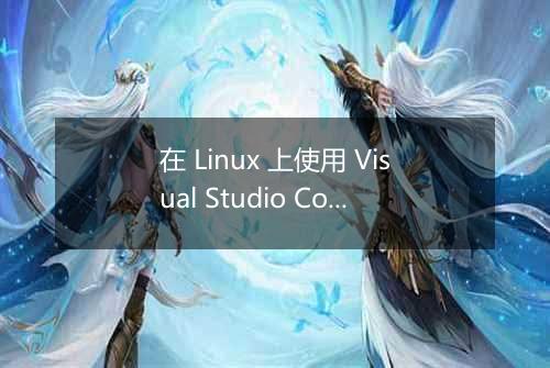 在 Linux 上使用 Visual Studio Code 进行智能家居开发有哪些推荐配置?