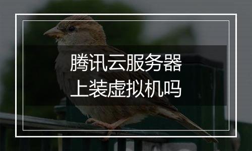 腾讯云服务器上装虚拟机吗
