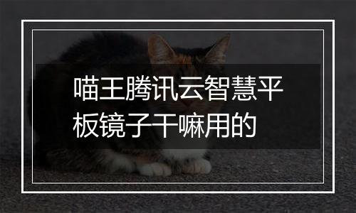 喵王腾讯云智慧平板镜子干嘛用的