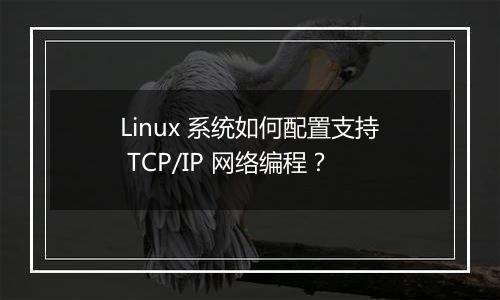 Linux 系统如何配置支持 TCP/IP 网络编程?