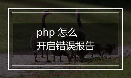 php 怎么开启错误报告