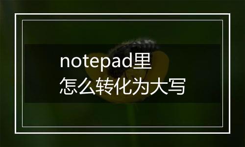 notepad里怎么转化为大写