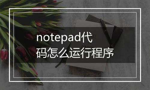 notepad代码怎么运行程序