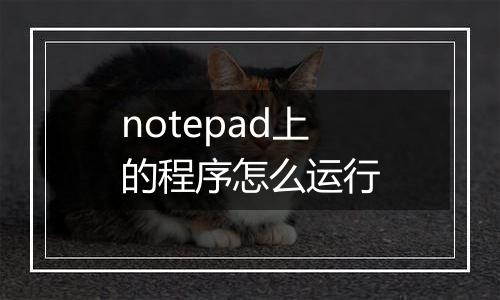 notepad上的程序怎么运行