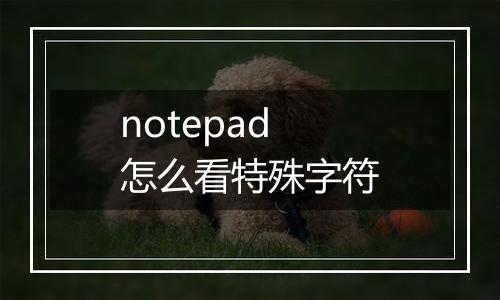 notepad怎么看特殊字符