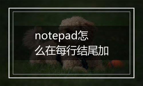 notepad怎么在每行结尾加