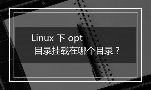Linux 下 opt 目录挂载在哪个目录?