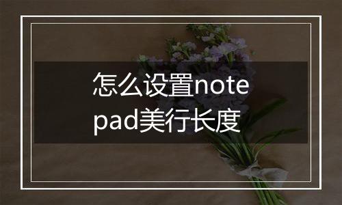 怎么设置notepad美行长度