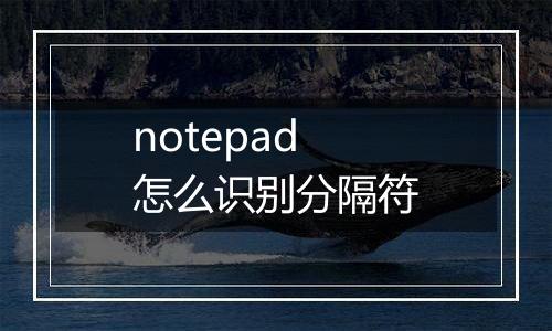 notepad怎么识别分隔符