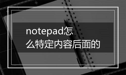 notepad怎么特定内容后面的
